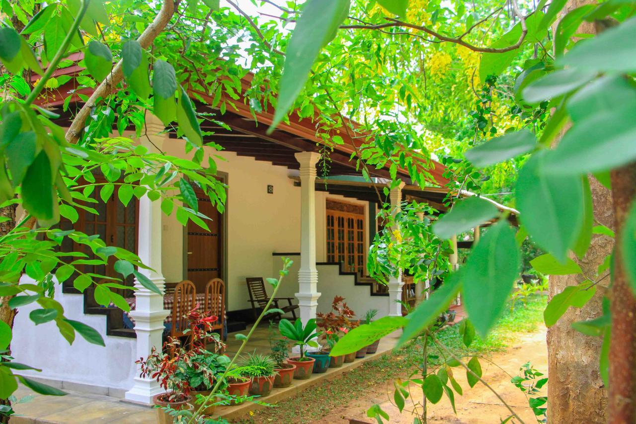 Sigiri Anu Homestay Sigiriya Exterior foto
